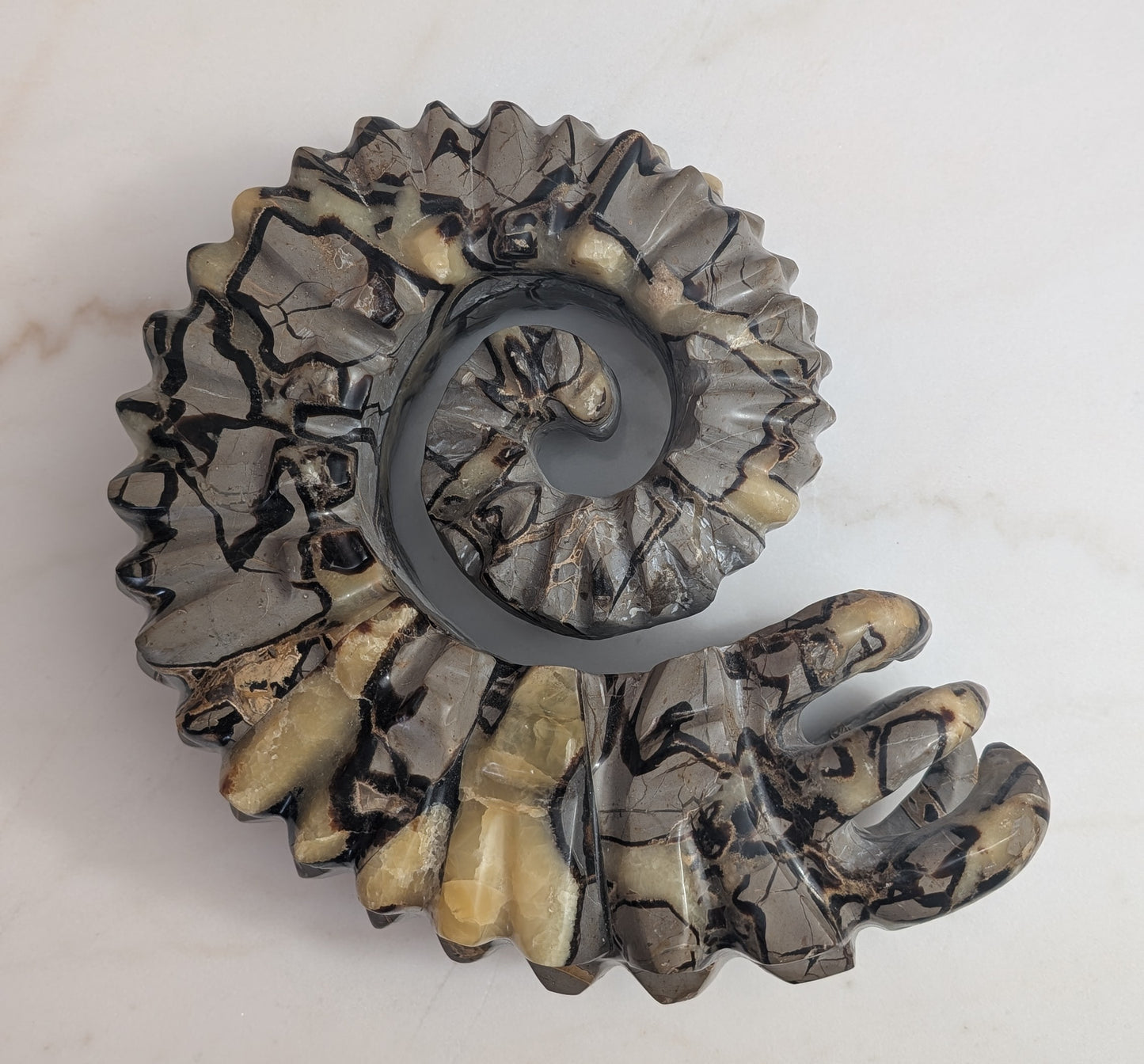 Septarian "Facehugger" Carving