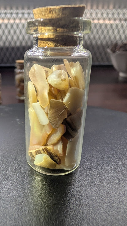 1oz Jar of Fire Agate or Sea Shells