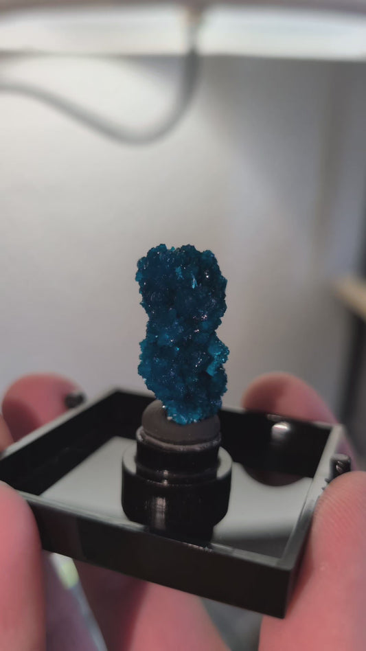 Double cavansite "floater"