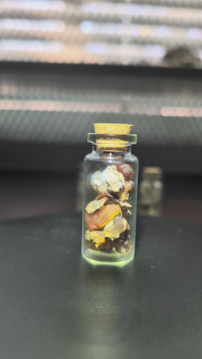 1oz Jar of Fire Agate or Sea Shells