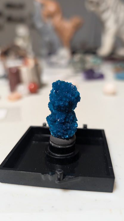 Double cavansite "floater"